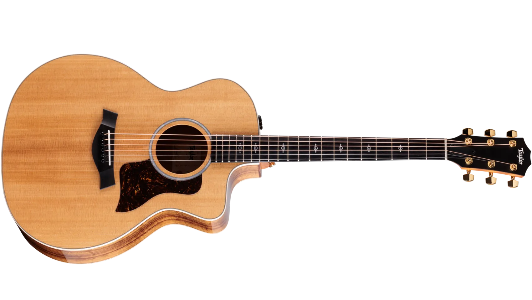 特選中古品！精悍なブラックカラーが印象的なテイラー「214ce DLX